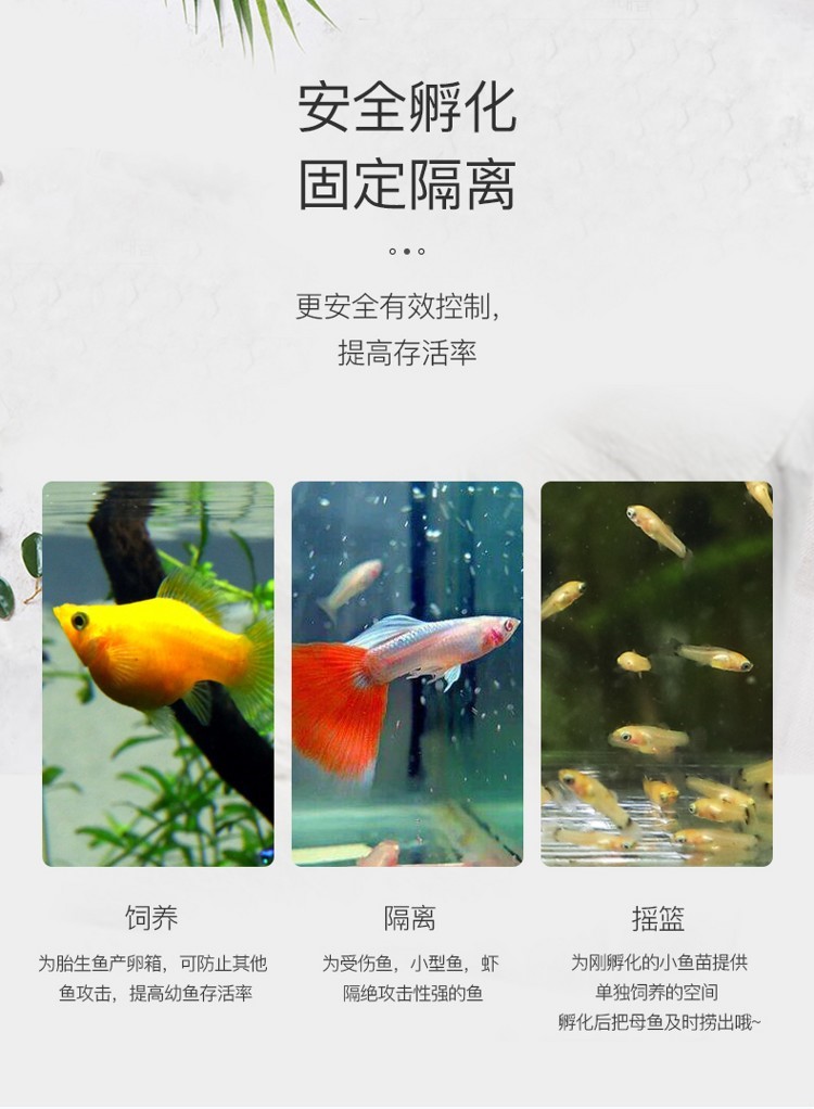 孔雀魚繁殖盒孵化盒亞克力魚缸隔離盒產(chǎn)卵器魚卵繁殖箱小魚產(chǎn)房 祥龍傳奇品牌魚缸 第53張