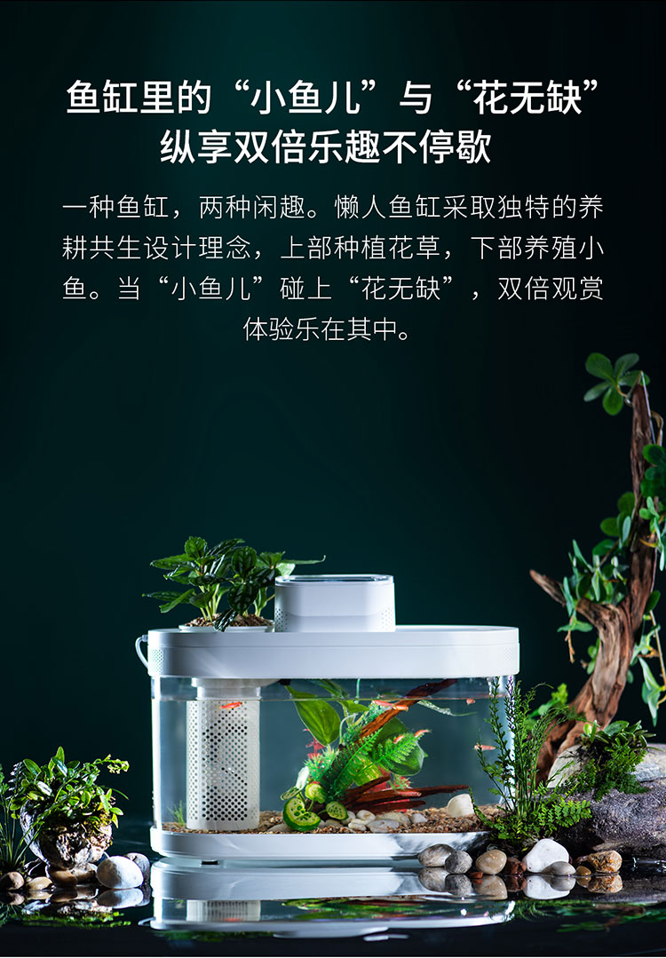 畫法幾何桌面生態(tài)懶人魚缸C180基礎(chǔ)款上過濾帶燈底砂棉支持一鍵換水USB供電長29cm長 銀河星鉆魚 第112張