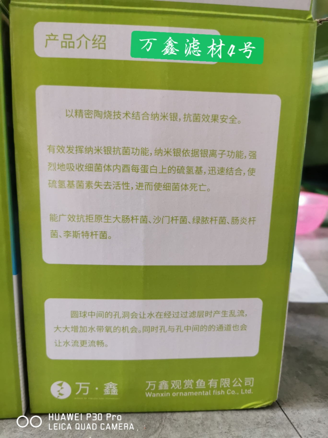 高端魚的必備品 埃及神仙魚 第4張