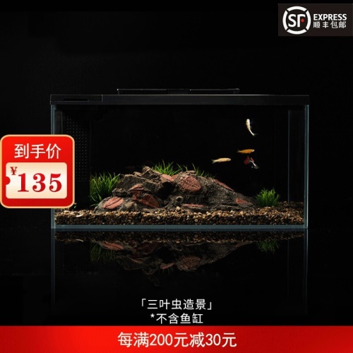 小佩起源紀(jì)魚(yú)缸超白玻璃水族箱桌面客廳小米家用造景生態(tài)金魚(yú)缸 魚(yú)缸/水族箱 第23張