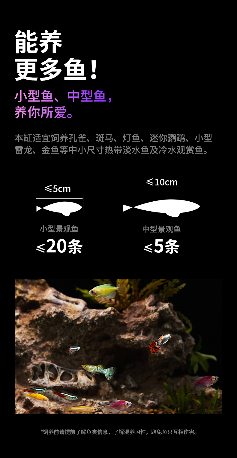 小佩起源紀(jì)魚(yú)缸超白玻璃水族箱桌面客廳小米家用造景生態(tài)金魚(yú)缸 魚(yú)缸/水族箱 第104張