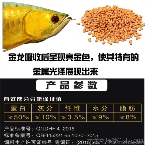 馬印龍魚飼料金龍魚飼料龍魚飼料專用魚食紅龍魚飼料龍魚飼料活體 馬印水族 第2張