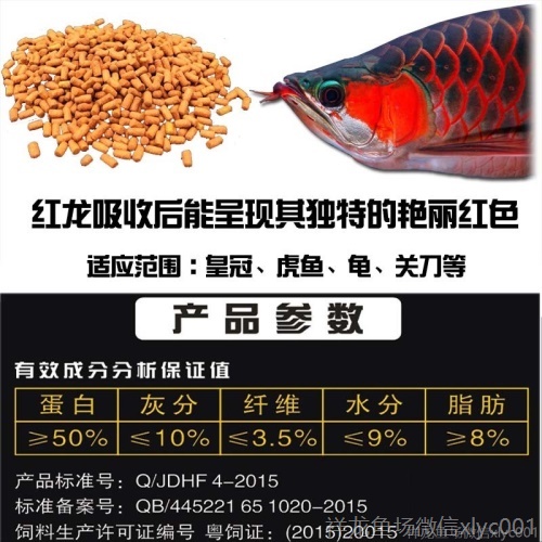 馬印龍魚飼料金龍魚飼料龍魚飼料專用魚食紅龍魚飼料龍魚飼料活體 馬印水族 第1張