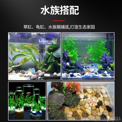 魚缸裝飾造景石頭魚缸底砂底沙雨花石擺件鵝卵石五彩色鋪面小石子