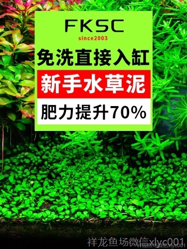 水草泥魚缸底砂造景套餐草缸陶粒砂開缸伴侶草泥免洗ada土水藻泥 水草 第35張