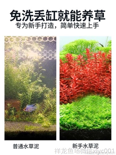 水草泥魚缸底砂造景套餐草缸陶粒砂開缸伴侶草泥免洗ada土水藻泥 水草 第34張