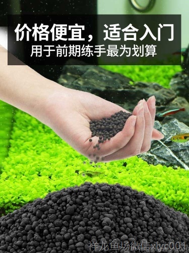 水草泥魚缸底砂造景套餐草缸陶粒砂開缸伴侶草泥免洗ada土水藻泥 水草 第33張