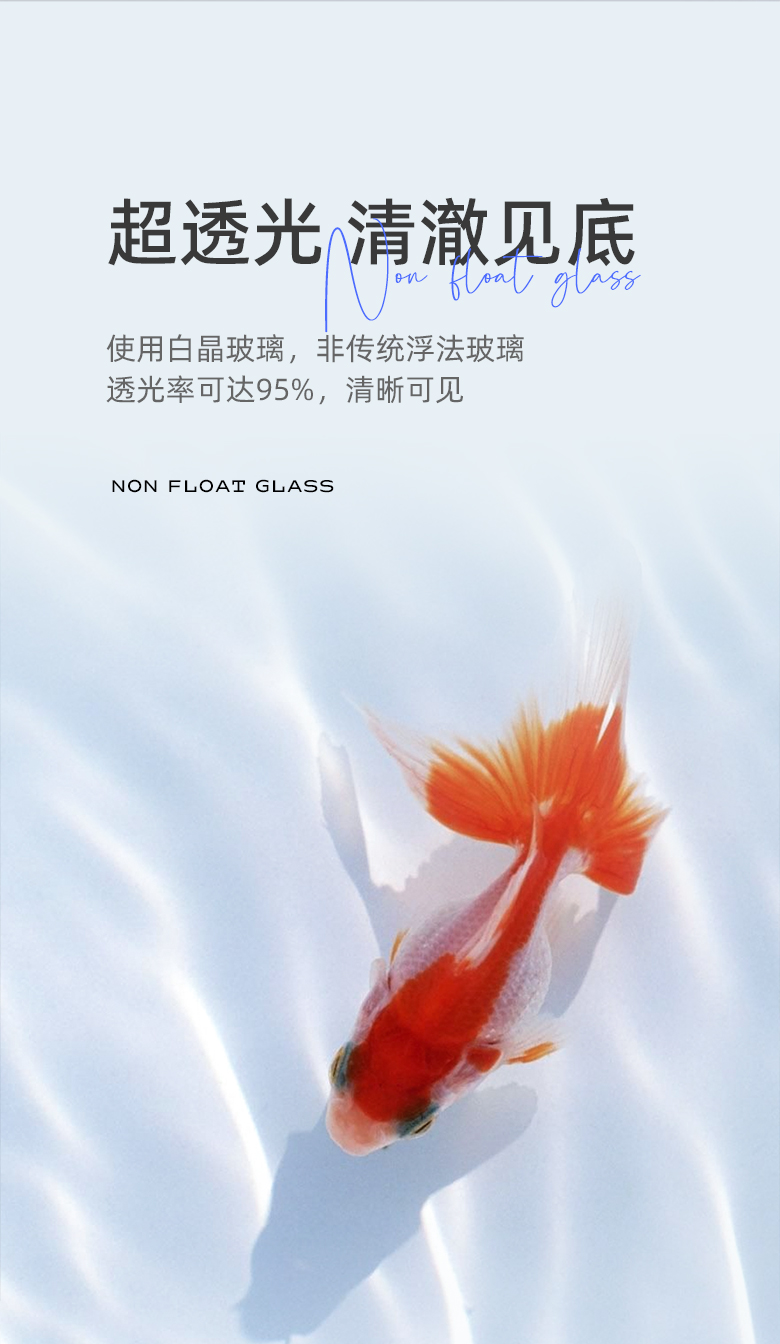 精晶（JING）超白魚缸403030cm帶底座 七紋巨鯉魚 第93張