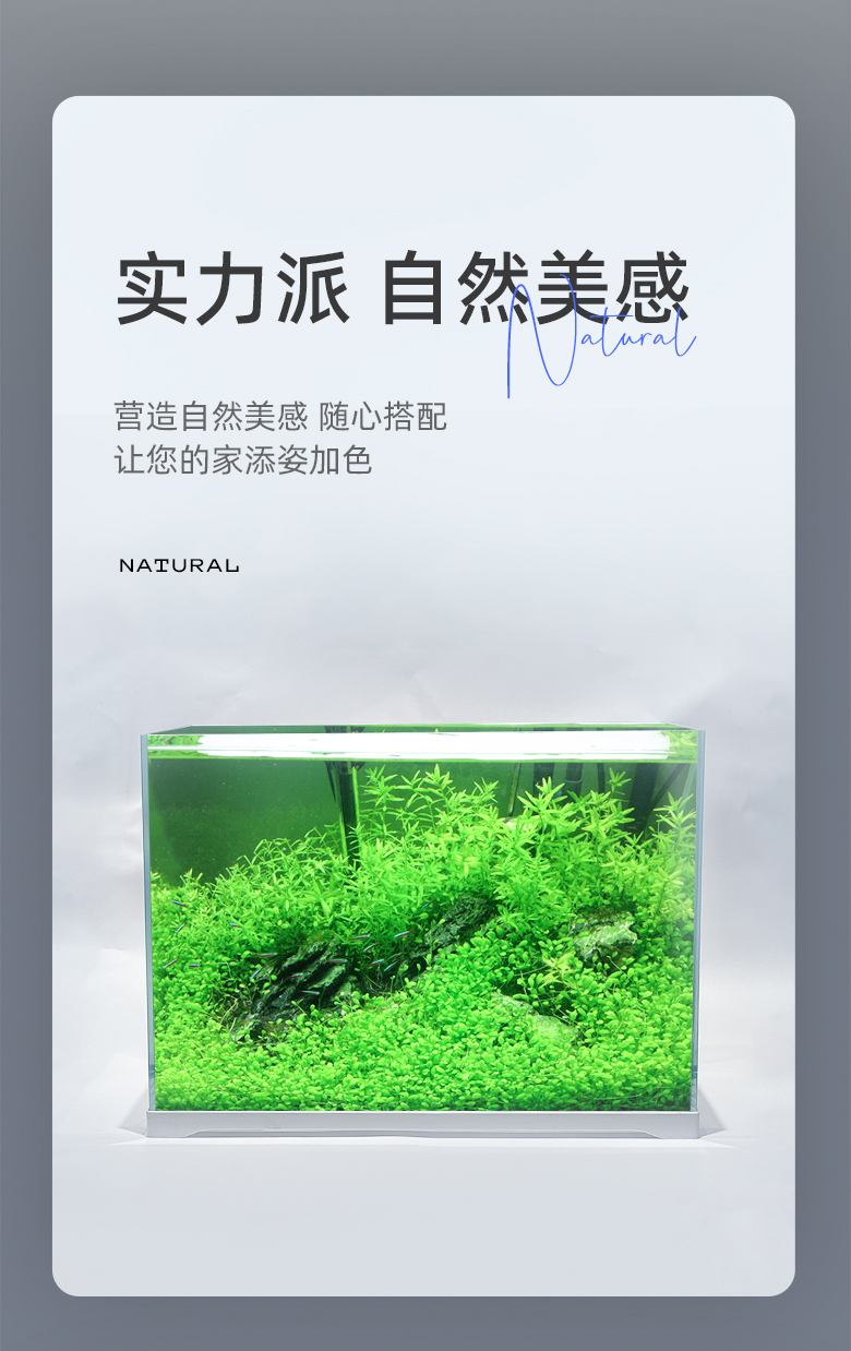 精晶（JING）超白魚缸403030cm帶底座 七紋巨鯉魚 第95張