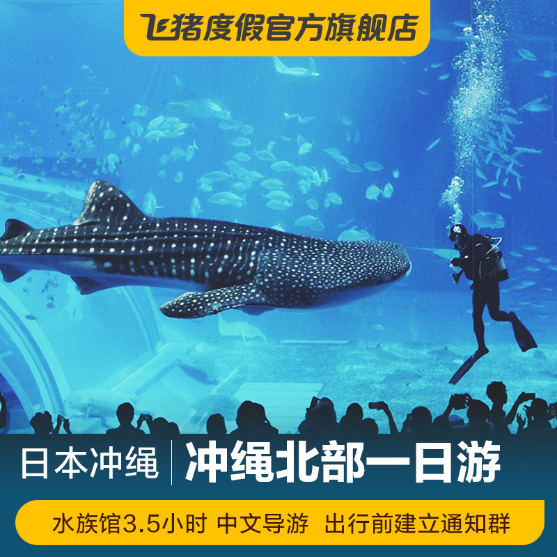 一個多月來簽到一次 水族用品