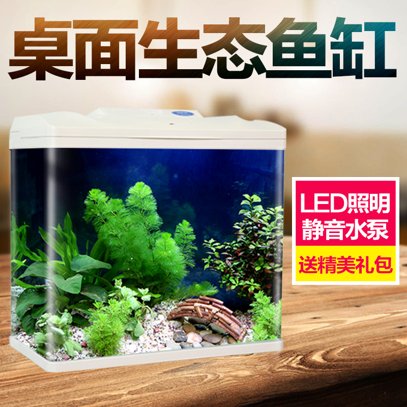 8年全滿 水族用品 第2張