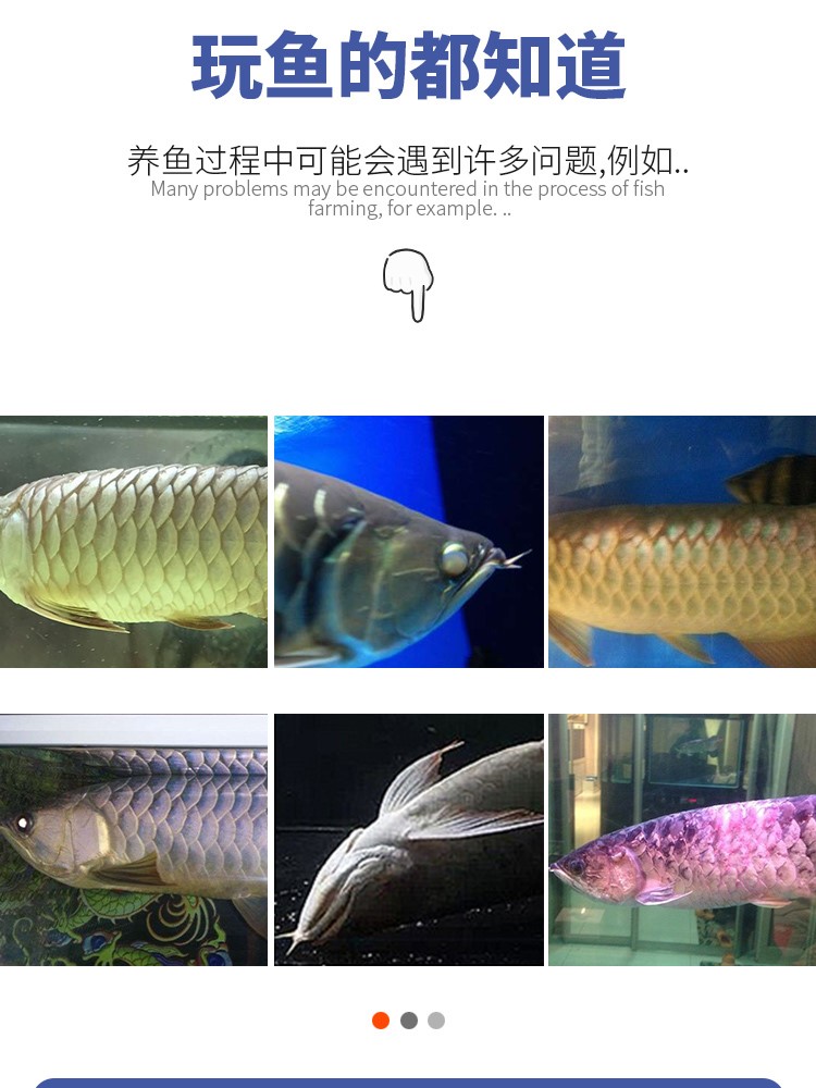 馬印橄欖球魚缸過濾材料魚缸凈水過濾器材細(xì)菌屋硝化細(xì)菌水質(zhì)凈化 馬印水族 第16張