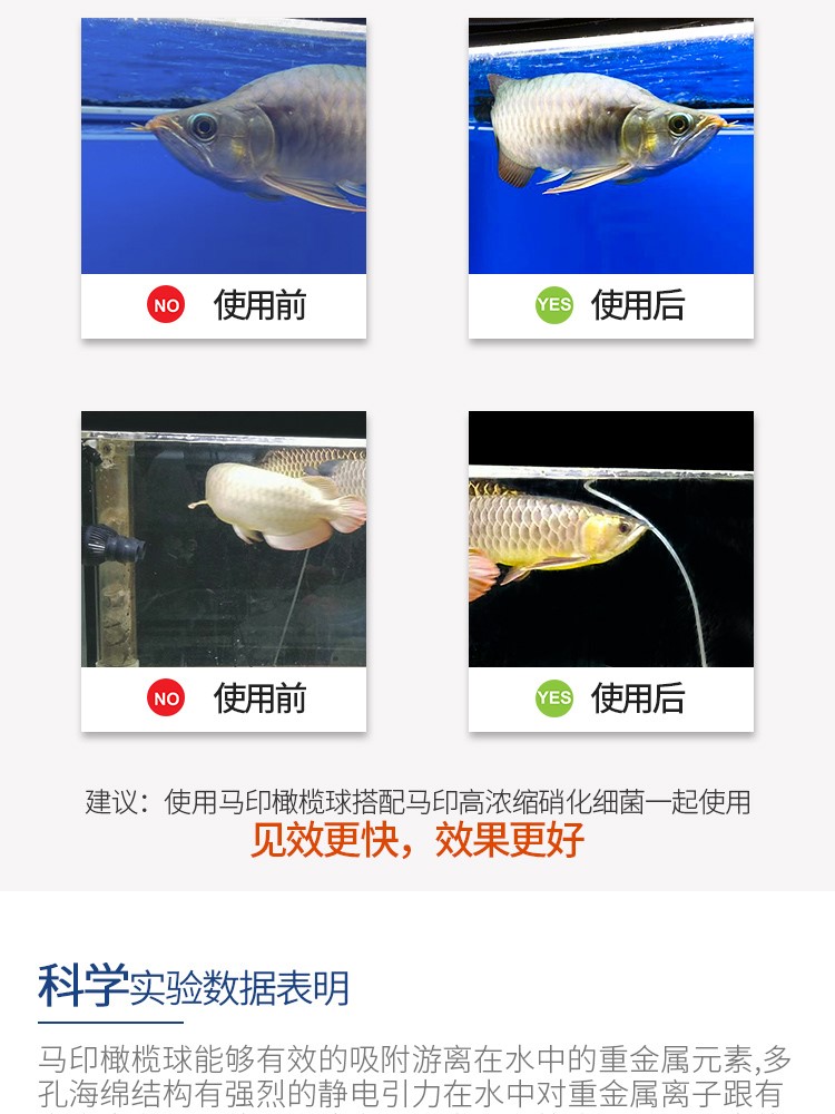 馬印橄欖球魚缸過濾材料魚缸凈水過濾器材細(xì)菌屋硝化細(xì)菌水質(zhì)凈化 馬印水族 第27張