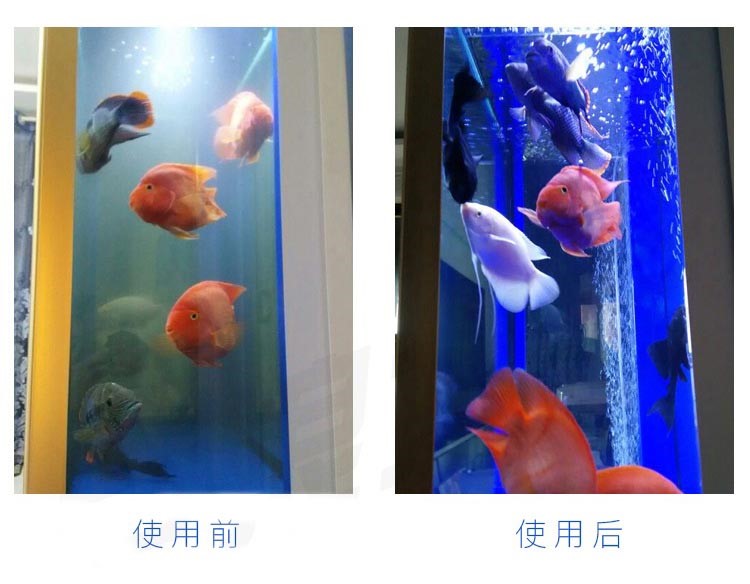 魔幻磁力寶濾材魚缸硝化細(xì)菌屋過濾材料上濾底濾側(cè)濾魚缸過濾材料 硝化細(xì)菌 第22張