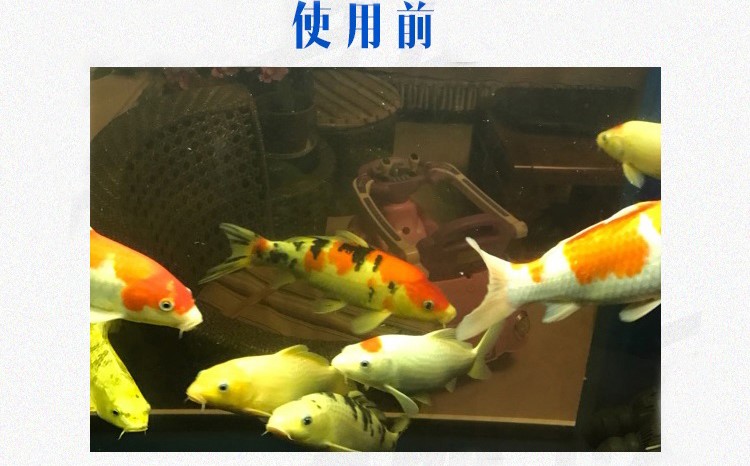 魔幻磁力寶濾材魚缸硝化細(xì)菌屋過濾材料上濾底濾側(cè)濾魚缸過濾材料 硝化細(xì)菌 第26張