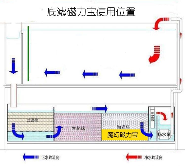 魔幻磁力寶濾材魚缸硝化細(xì)菌屋過濾材料上濾底濾側(cè)濾魚缸過濾材料 硝化細(xì)菌 第12張