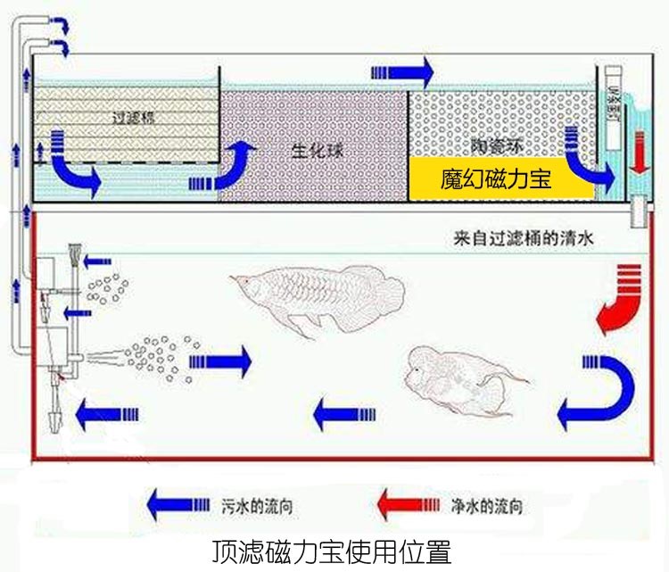 魔幻磁力寶濾材魚缸硝化細(xì)菌屋過濾材料上濾底濾側(cè)濾魚缸過濾材料 硝化細(xì)菌 第13張