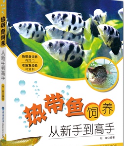 人生如魚永不被束縛永不歇足 水族維護服務(wù)（上門） 第2張