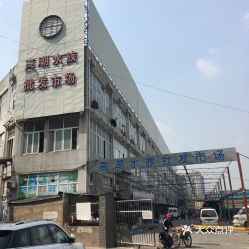 新生兒品質(zhì)非常不錯 廣州水族批發(fā)市場 第2張