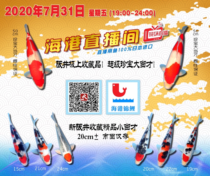 7月31日加場(chǎng) 羅漢魚批發(fā) 第1張