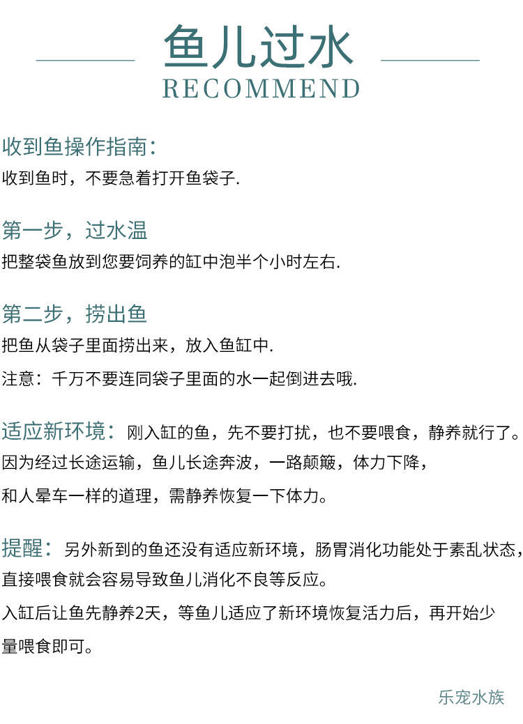 冷水觀賞魚獅子頭金魚活體好養(yǎng)耐活淡水大中小型魚苗寵物魚珍珠碟尾鎏金蘭壽金魚活體魚苗 其它水族用具設(shè)備 第126張