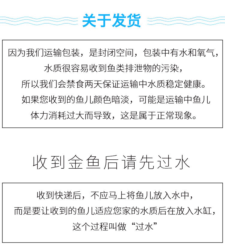 冷水觀賞魚獅子頭金魚活體好養(yǎng)耐活淡水大中小型魚苗寵物魚珍珠碟尾鎏金蘭壽金魚活體魚苗 其它水族用具設(shè)備 第124張