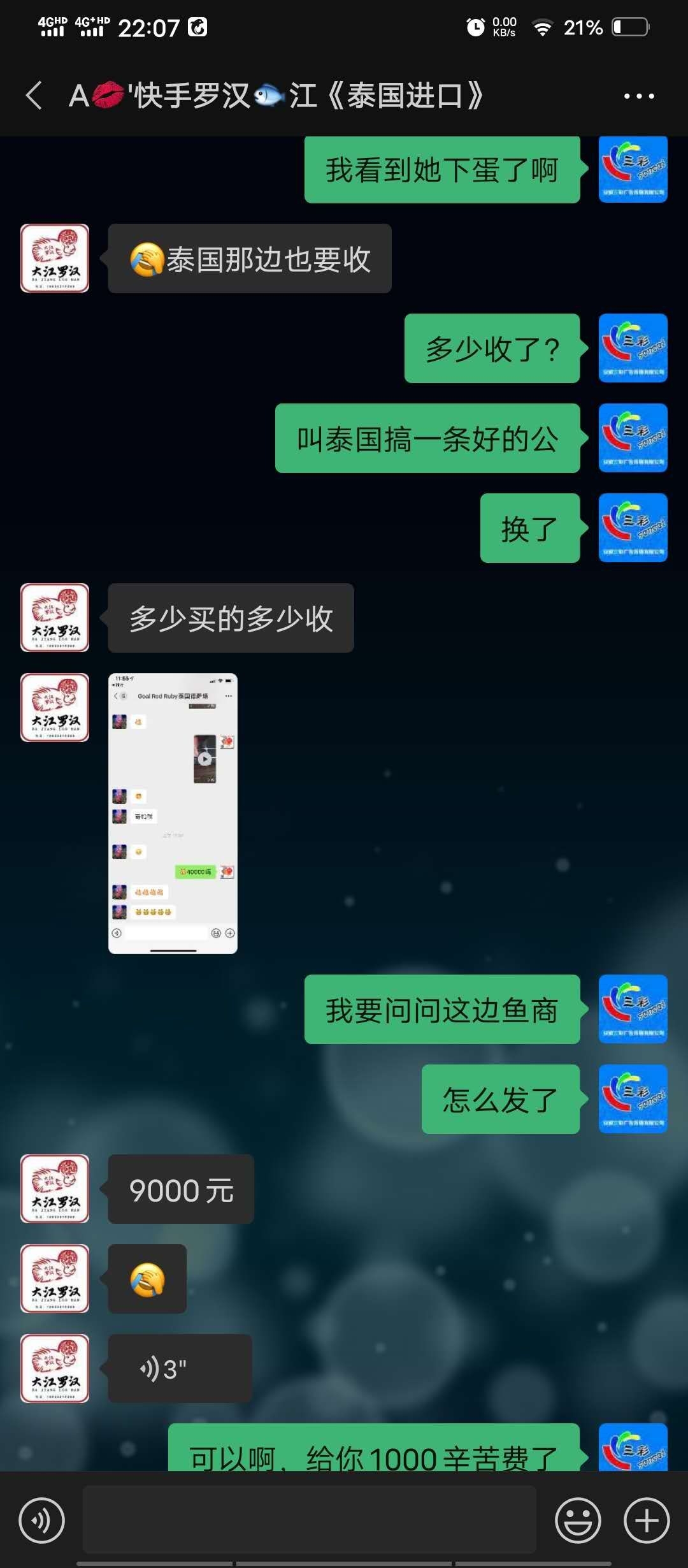 揭露一個黑心魚商 印尼三紋虎 第2張