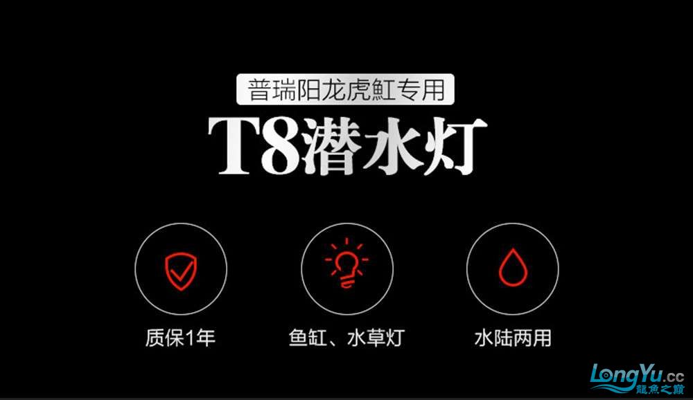 搖一搖第九期中獎名單公布 水族用品 第17張