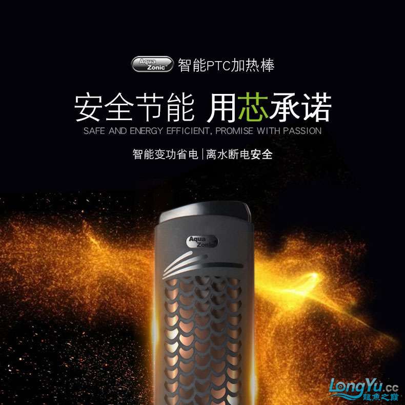 前湖智能PTC加熱棒 龍魚芯片掃碼器 第1張