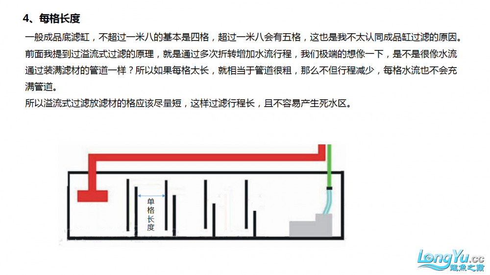 過濾分析之溢流式過濾 薩伊藍魚 第4張