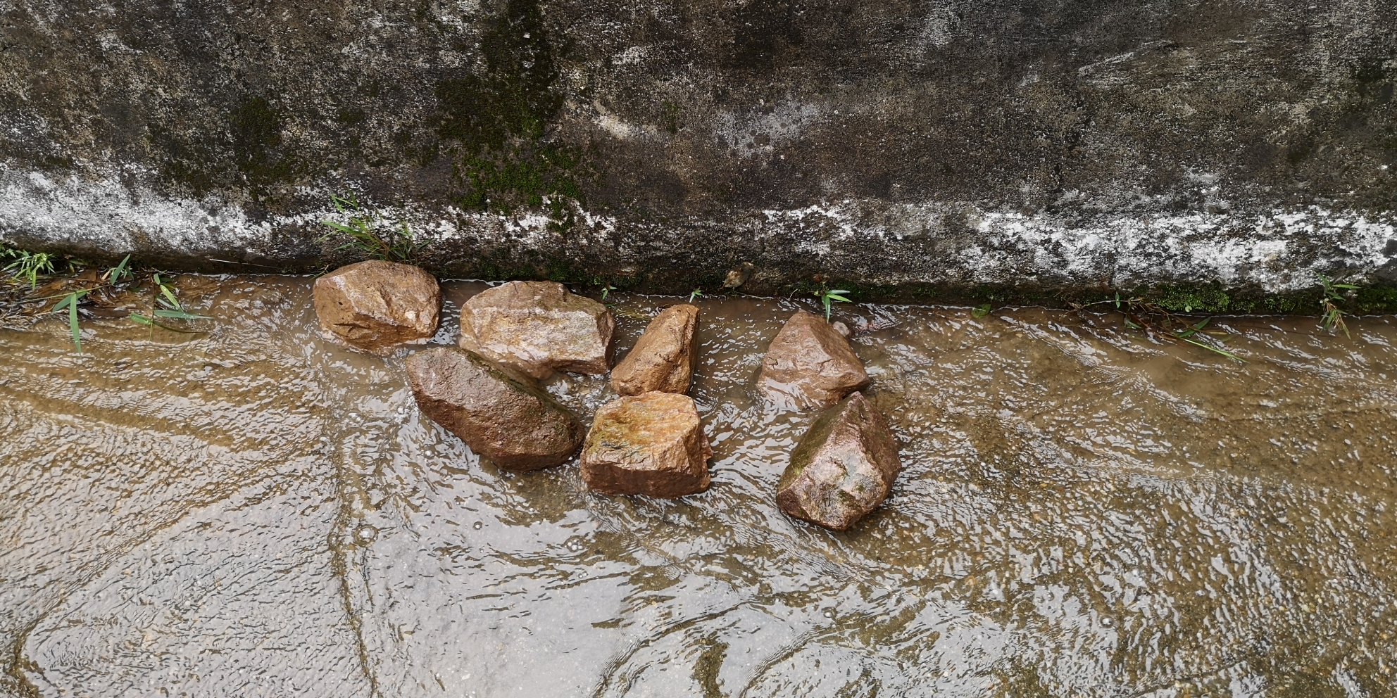 去山里撿石頭 泰龐海鰱魚 第6張