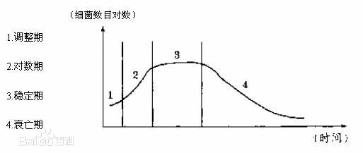 我的養(yǎng)魚經(jīng)8～細(xì)說維生素