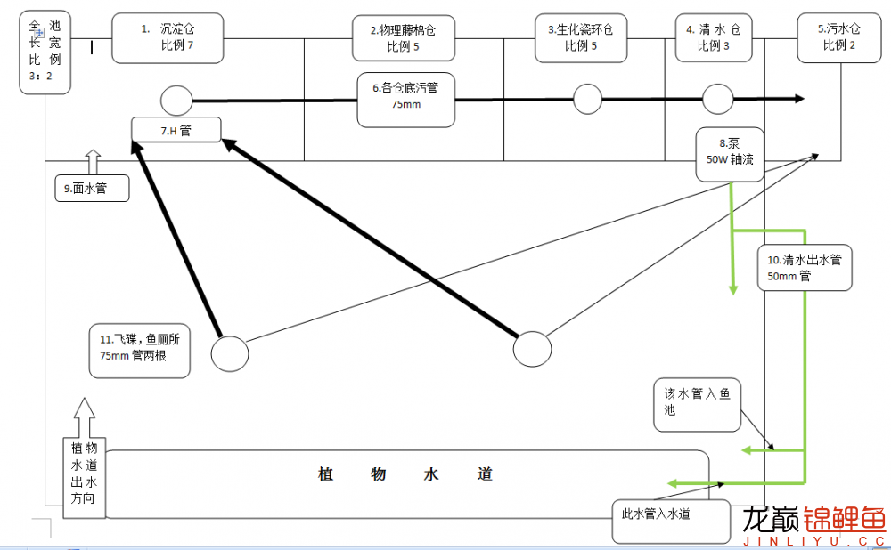 簡單的魚池設計圖用Office做的請指教 黃金達摩魚 第1張