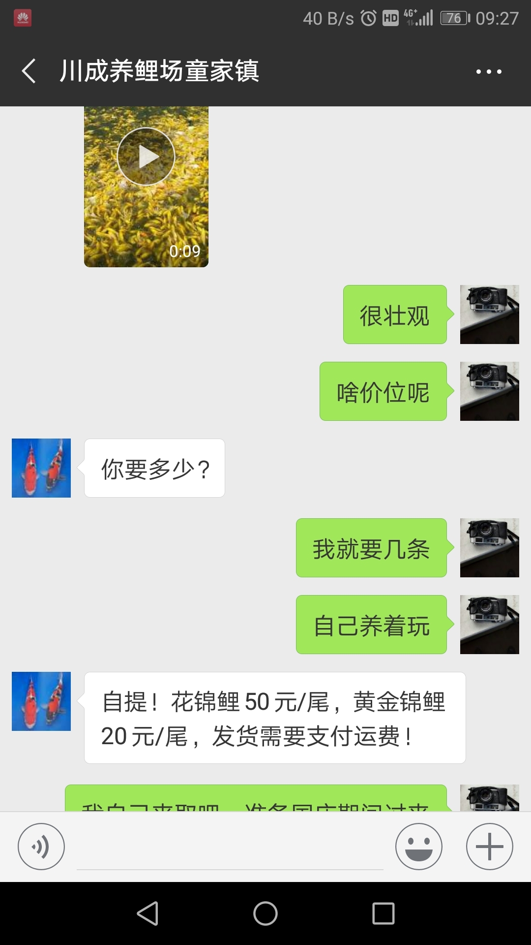 樂(lè)山的川成錦鯉養(yǎng)殖場(chǎng)