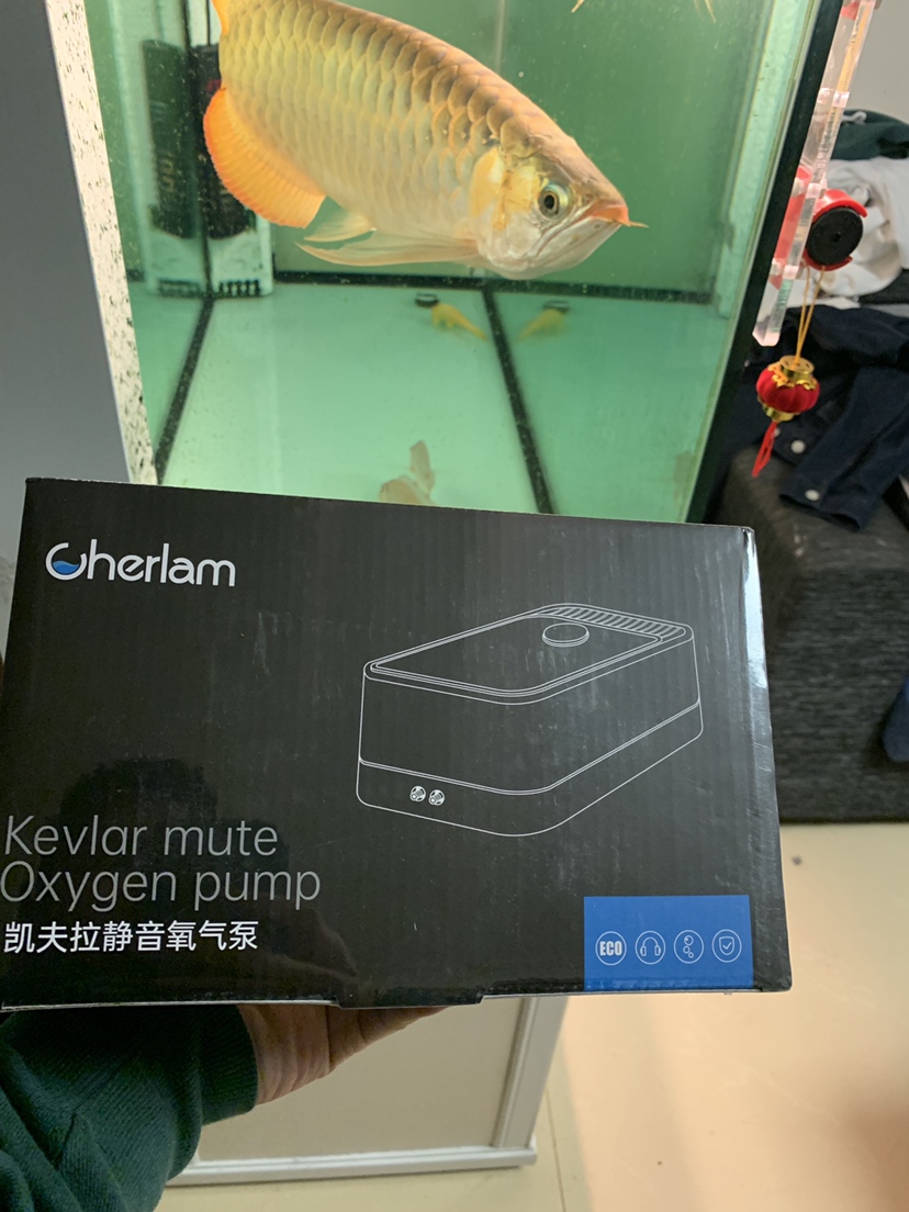 感謝平臺感謝Cherlam