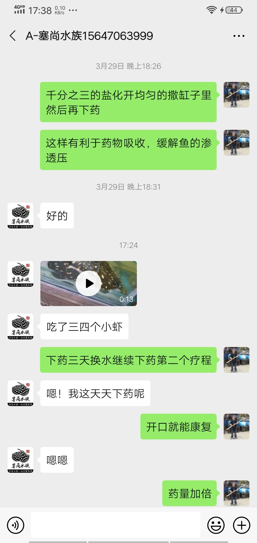 救治翻盤魟魚 祥龍藍珀金龍魚 第2張