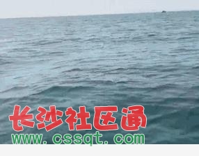 算不算滿珠鱗能不能過20厘米 魟魚百科 第8張