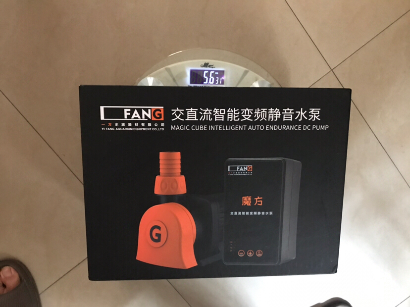 魔方獎(jiǎng)品到家 南美異形觀賞魚 第2張