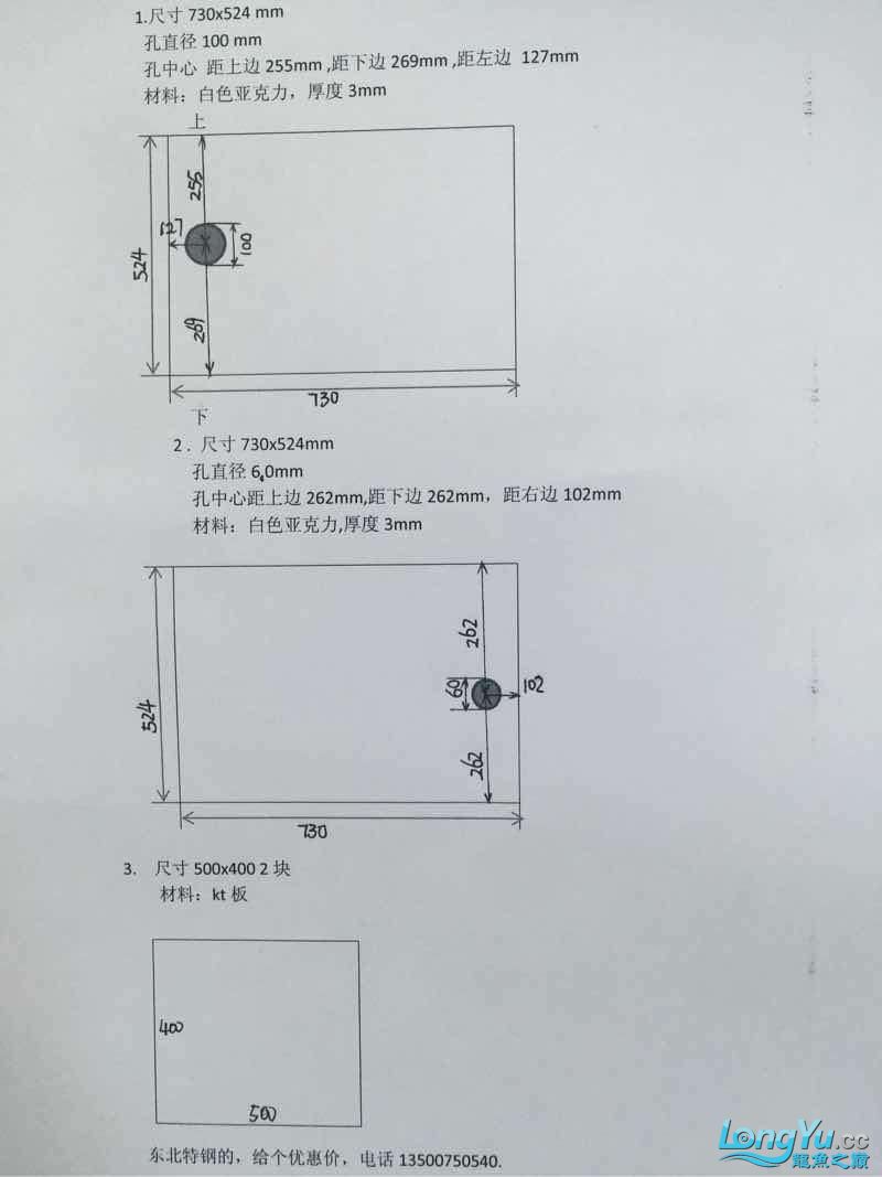 我受不了黑色的坦克了 野生埃及神仙魚 第4張