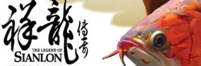 求救請(qǐng)大神幫幫忙 龍魚百科 第5張