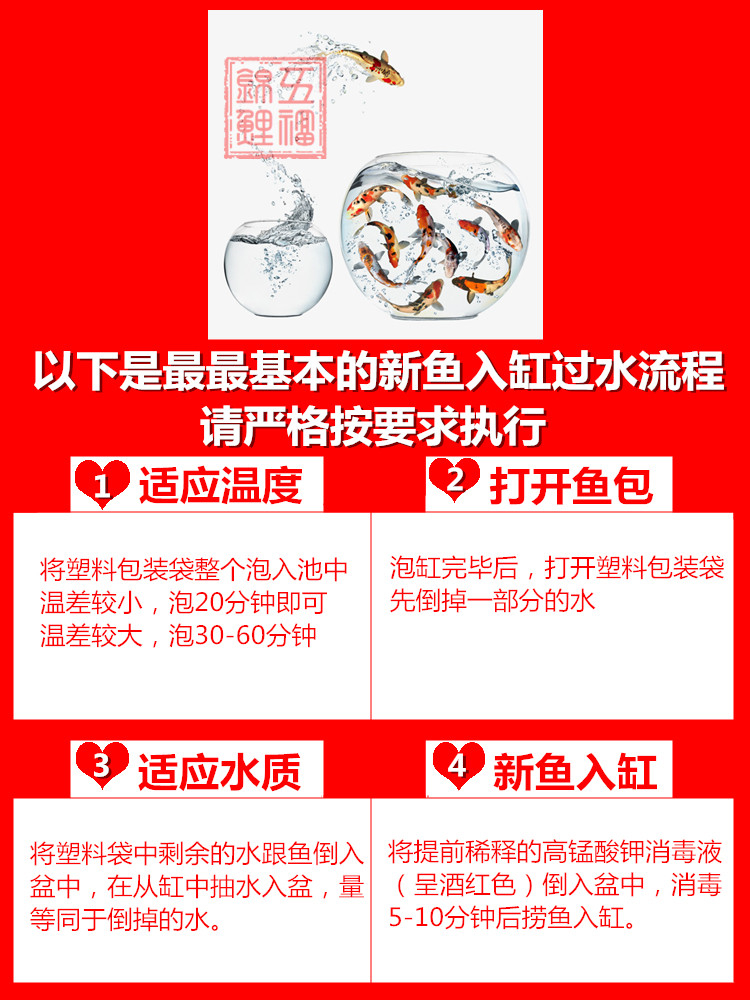 記錄著每一天龍魚(yú)