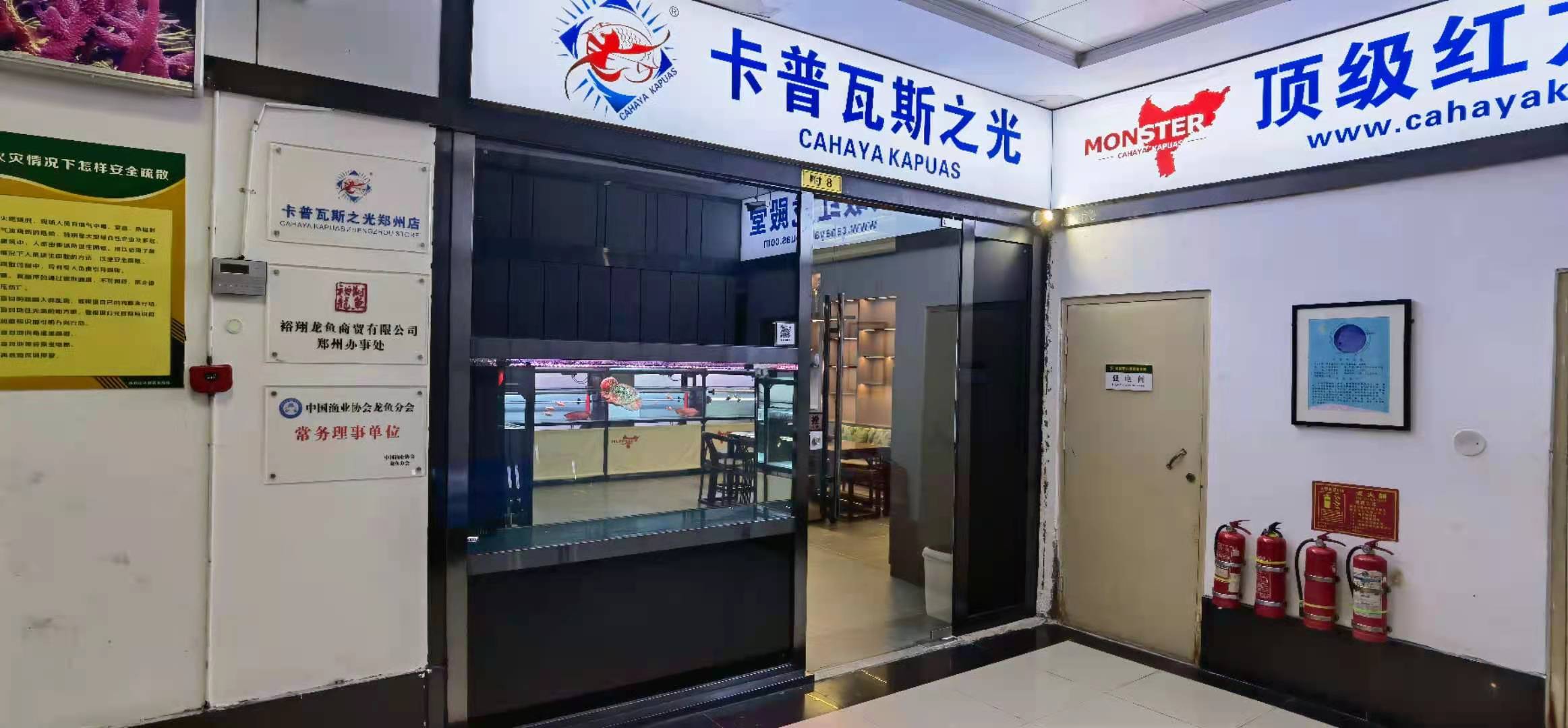 匠心鑄造經(jīng)典卡普瓦斯之光鄭州店隆重開業(yè) BD魟魚 第1張