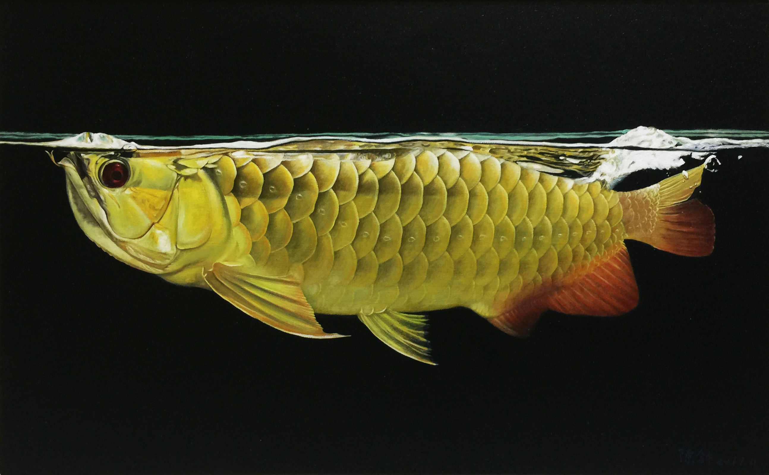 避暑山莊原創(chuàng)2000800800龍魚缸 慈雕魚 第38張