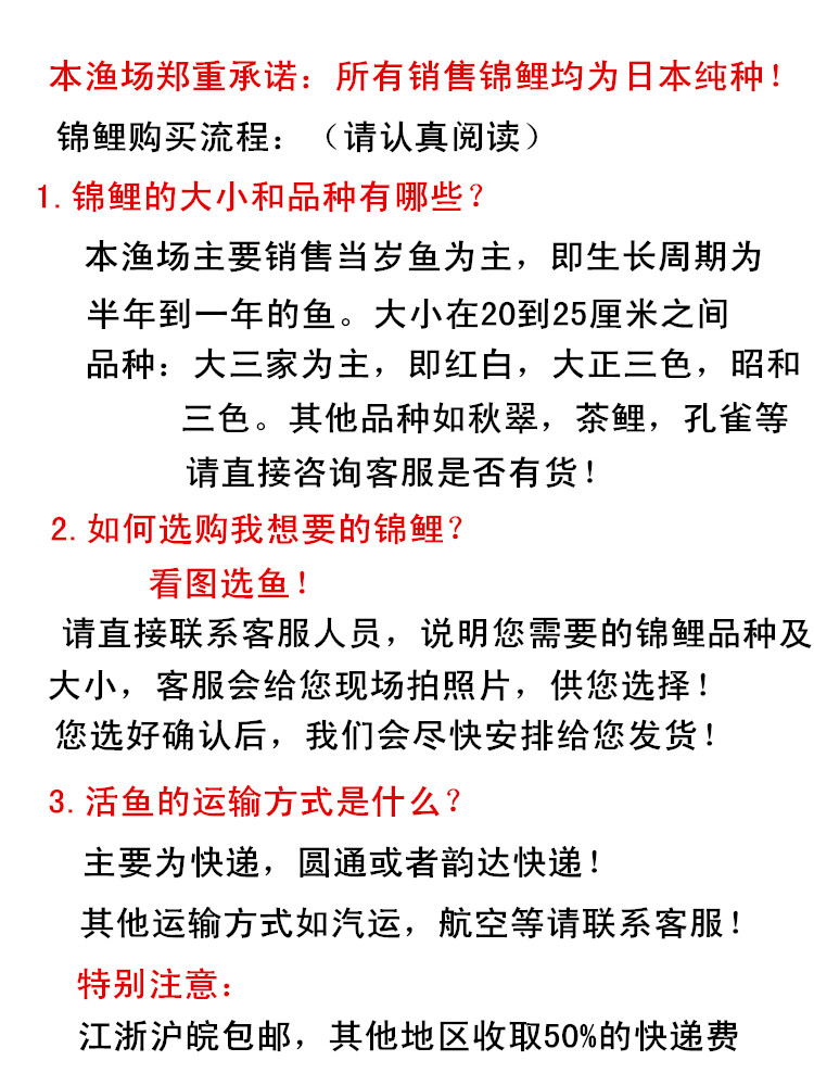 搶鏡頭呢 狗頭魚 第2張