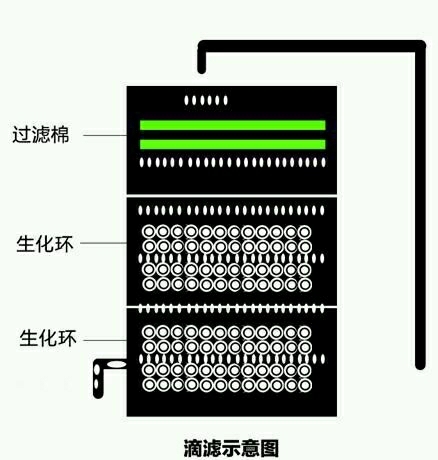 感覺這樣的滴濾有點(diǎn)問題啊