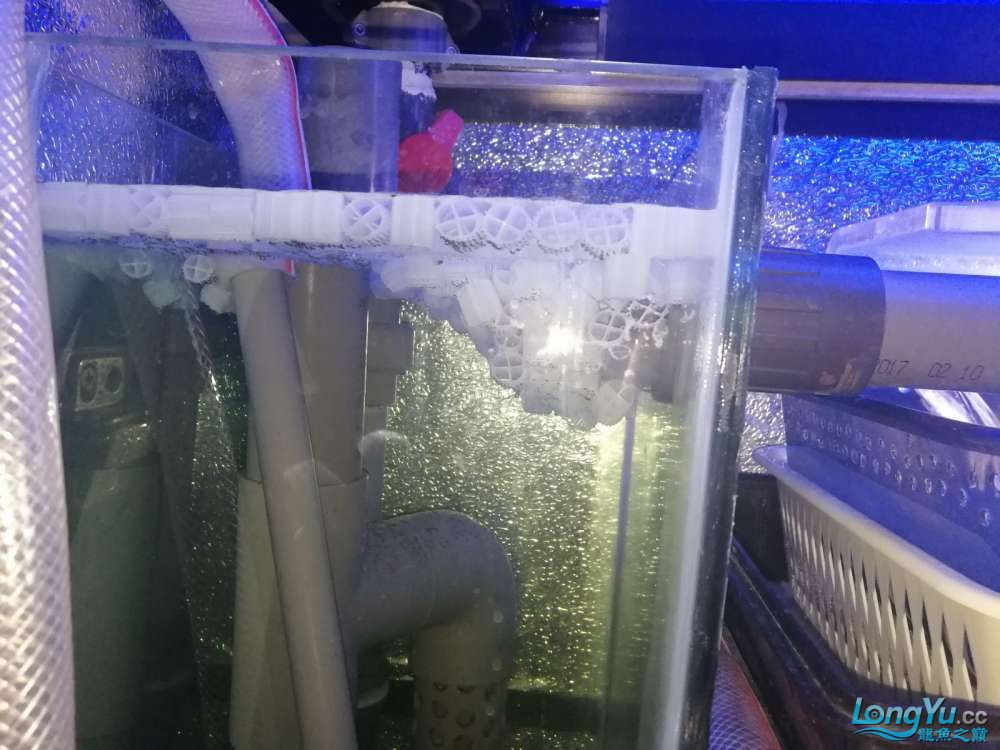 沉淀裝備和換水裝備齊全啦 觀賞魚飼料 第2張