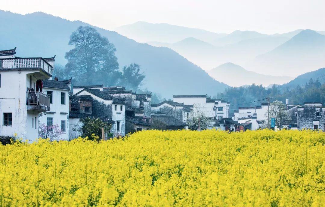 二十四節(jié)氣——谷雨