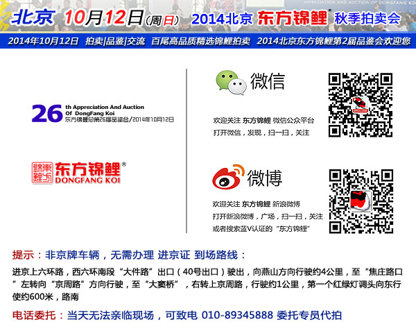 10月12日周日北京東方錦鯉2014秋季拍賣會(huì)部分魚照