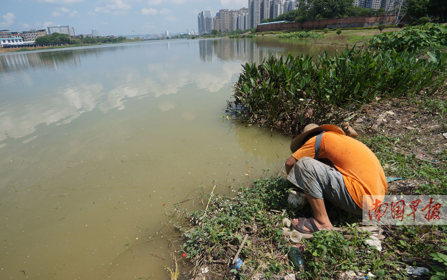 魚缸改四角溢流和底部鋪瓷磚完工 慈雕魚 第12張