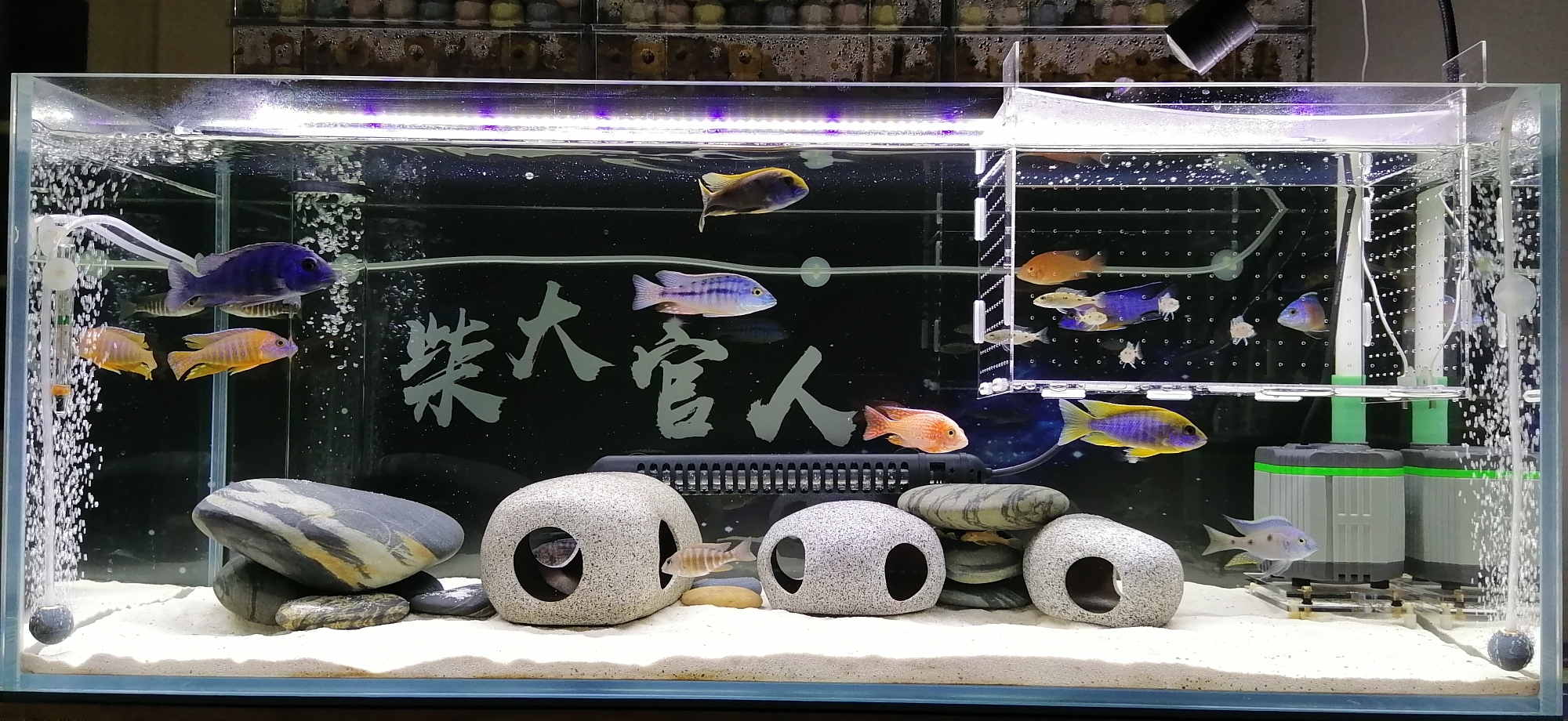 克孜勒蘇柯爾克孜自治州水族館新手報道